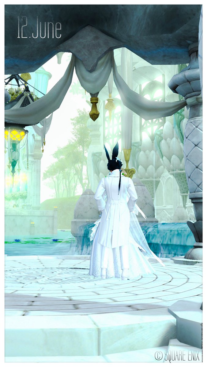 しうま🐰 tweet media