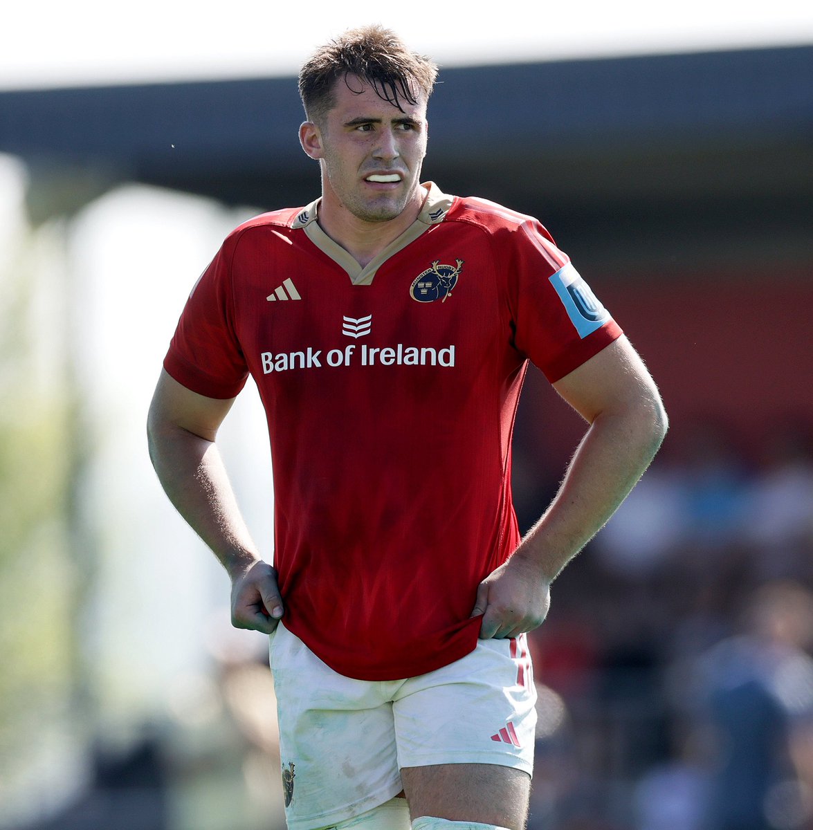 Ireland Men’s Squad Update - Gleeson Kilgallen and O’Connell link up with squad as preparation begins for summer tour.
Read more here - irishrugby.ie/2025/06/19/ire…

#TeamOfUs