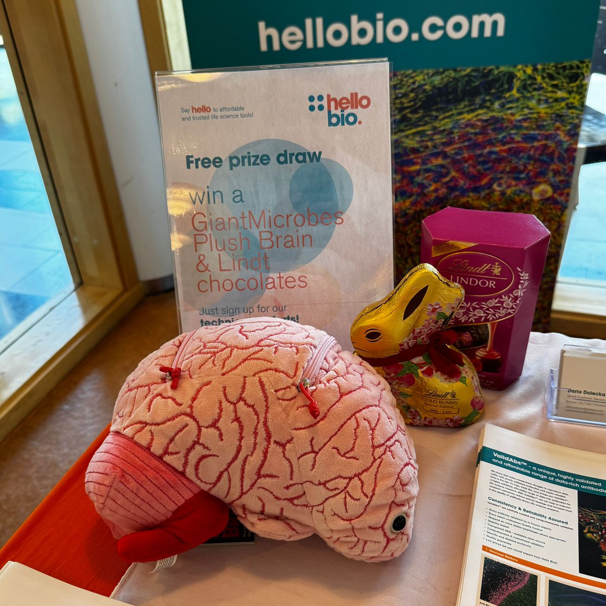 hello_bio's tweet image. It's our last day at @FRM2025Oslo and look who's joined us! Visit our booth at #FRM2025 & the Hello Bio bear might just come home with you! π§Έ
Don't forget to enter our prize draw to win a @GIANTmicrobes Plush Brain & some delicious chocolates! π¬
#FENS #FENSRegionalMeeting