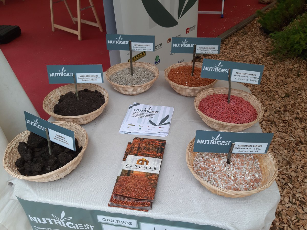 Hoy ha comenzado <a href="/Asturforesta/">ASTURFORESTA 2025</a> y  estamos presentes en el stand del @cetemas

¡Te esperamos! 😉

#Nutrigest #Asturforesta2025