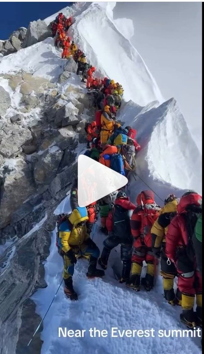 Die gesamte menschliche Blödheit lässt sich mit diesem Bild beschrieben.