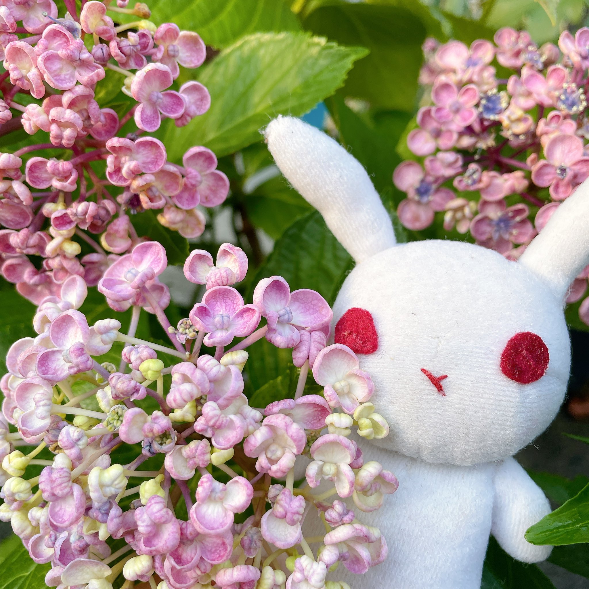 キティ　根付　因幡の白兎（サメ）時代姫　出石そば　義経　飛騨路　永田町 キティ 根付 因幡の白兎（サメ）時代姫 出石そば 義経 飛騨路 永田町