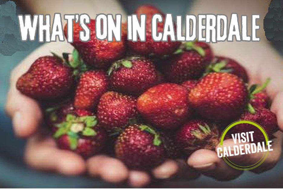 Take a look at our latest 'Whats's On' blog  for what's happening across Calderdale in the next seven days, featuring a Summer Food Gathering and Artisan Market, LOADS of great live music, theatre, a guided walk and wedding open day! visitcalderdale.com/whats-on-in-ca… #visitcalderdale