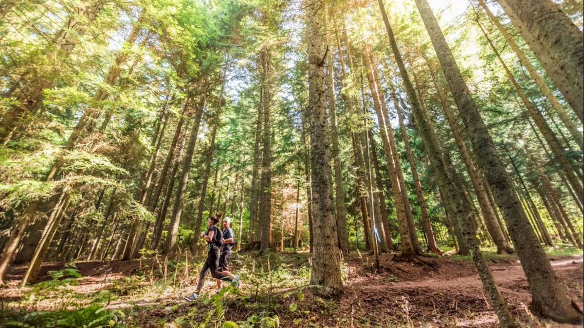 The_EOC's tweet image. 🔊#IOC launch the #IOCClimateActionAwards2025!

It's the last chance for Athletes, #IFs, #NOCs to make an impact on Climate Change!

➡️ Applications open until 27/06/2025
➡️ Winners announced at Milano Cortina 2026

📧Info: sustainability@olympic.org

👇
shorturl.at/4dNez