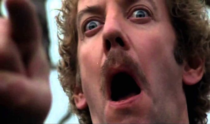 Stephen Gibbons tweet media