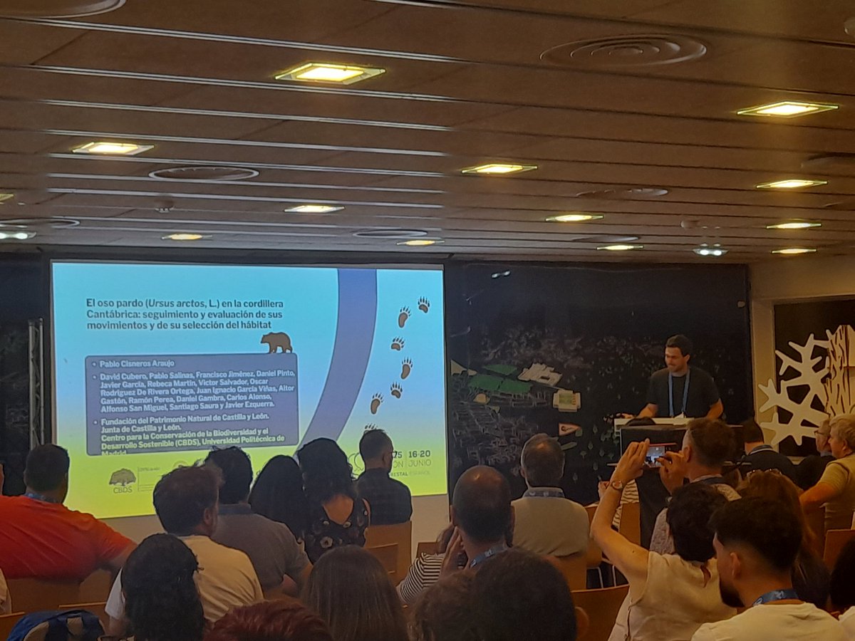 faginea's tweet photo. @pabcis @MontesUPM #JCyL presenta interesantes resultados sobre el movimiento de las poblaciones de oso pardo en la Cantábrica y su selección de hábitat
#9CFE @congresoforesta https://t.co/LFxOq3im1b