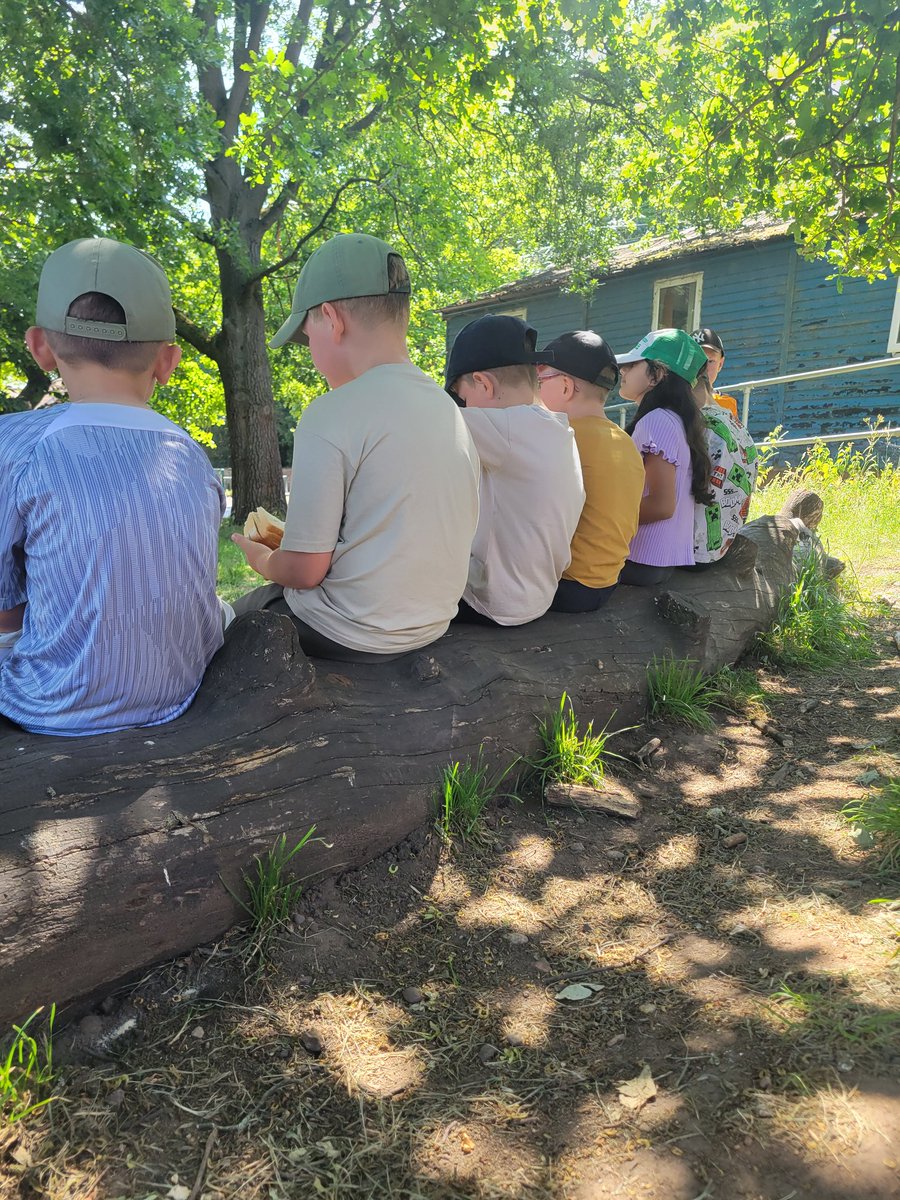 It is finally lunchtime (after the 90th time of asking...) 🦔