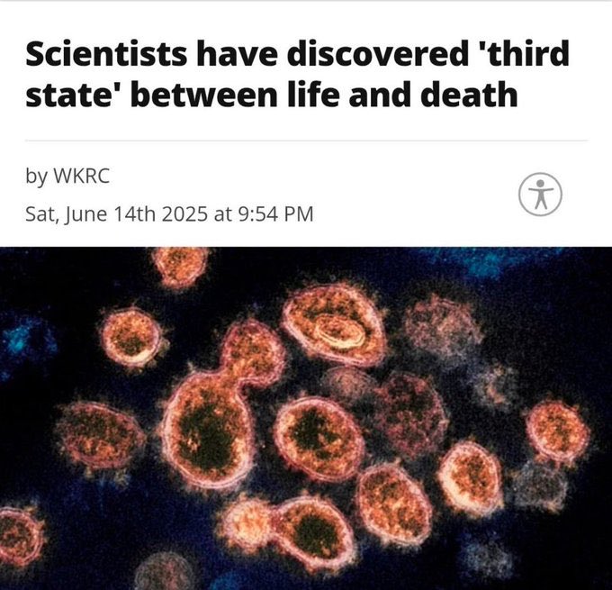 Junior Mining Investing