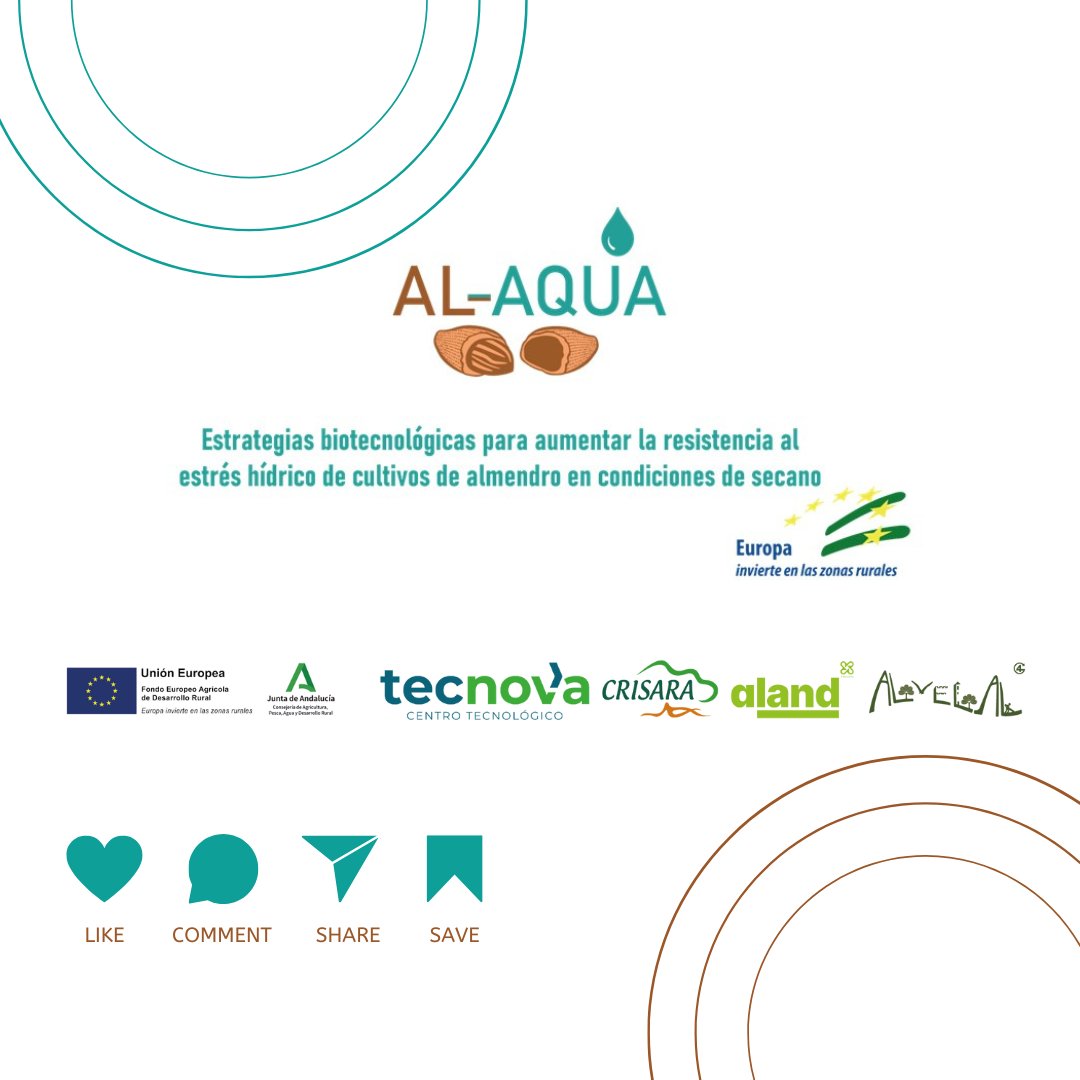 AlVelAl (@alvelal_4r) on Twitter photo La pasada semana el GO AL-AQUA celebró dos jornadas clave 🌿:
👩🌾 Encuentro con <a href="/GeaMujeres/">Gea De Mujeres</a> para hablar de innovación y mujeres en el campo.
📍 Jornada final en Chirivel con los resultados de 2 años de investigación en almendro en secano.
¡Gracias por acompañarnos!
#GOAlAQUA La pasada semana el GO AL-AQUA celebró dos jornadas clave 🌿:
👩🌾 Encuentro con <a href="/GeaMujeres/">Gea De Mujeres</a> para hablar de innovación y mujeres en el campo.
📍 Jornada final en Chirivel con los resultados de 2 años de investigación en almendro en secano.
¡Gracias por acompañarnos!
#GOAlAQUA