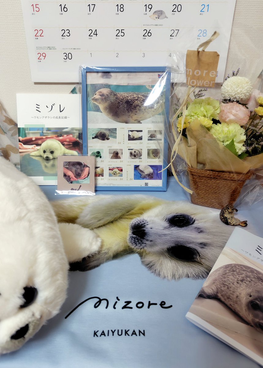 mizore415's tweet image. ミゾレちゃん
お空に旅立ってから一年経ちましたね🦭🪽✨️
たくさんの方々が
今もあなたのことを大切に想っています
可愛くて面白いミゾレずっと大好きだよ🥹❤️
#ミゾレ一周忌
#ワモンアザラシ
#ringedseal