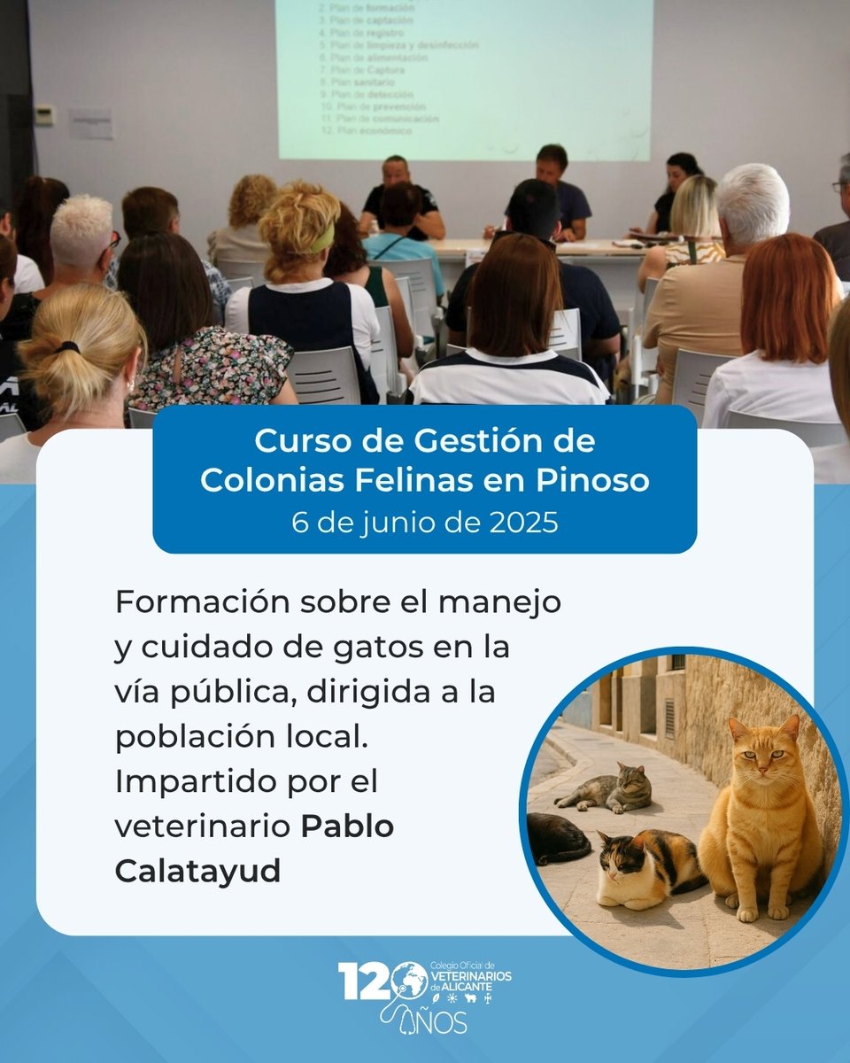 El pasado 6 de junio se realizó una formación sobre el manejo y cuidado de gatos en la vía pública, dirigida a la población local. Impartido por Pablo Calatayud, abordó la alimentación, técnicas de captura y esterilización, y la importancia de cumplir la Ley de Bienestar Animal