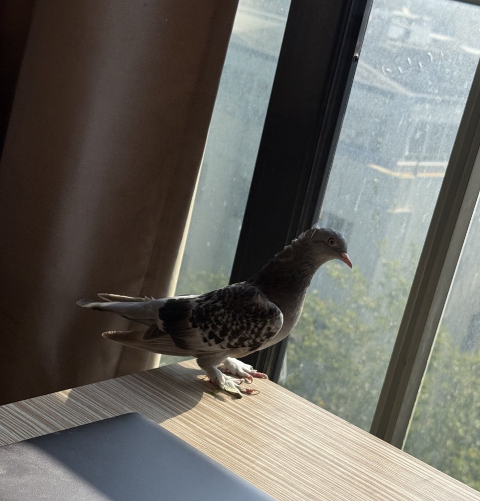 hanimdan yeni mesaj gelmis