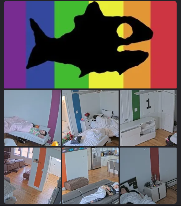 c4rcasses's tweet image. THE GAY STRIPES, MASON!
WHAT DO THEY MEAN??
#Fishtanklive #PrideMonth