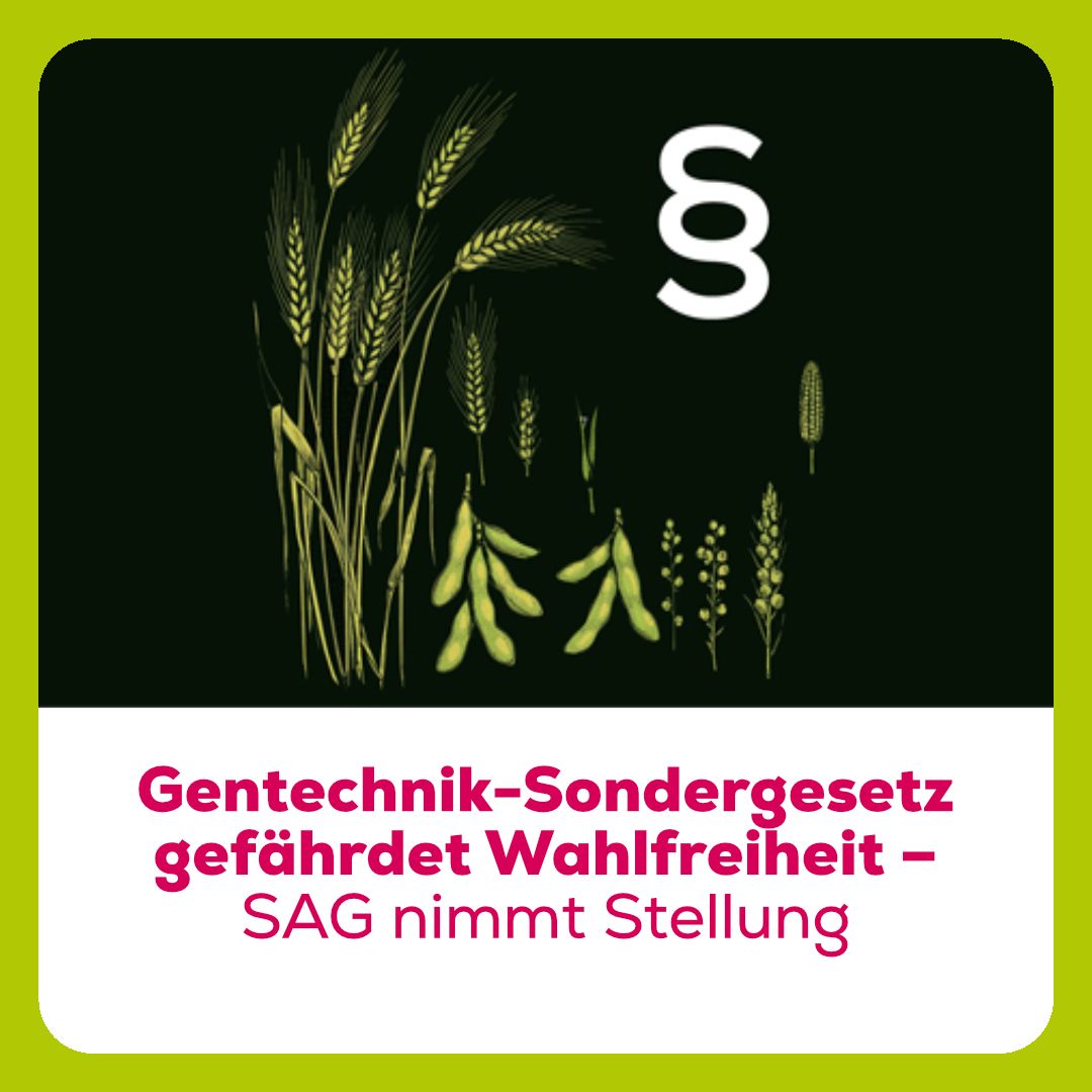 SAG (@sag_gentechfrei) on Twitter photo Lückenhafte Risikoprüfung, Missachtung von Vorsorgeprinzip und Wahlfreiheit, Gefährdung der gentechfreien Züchtung (buff.ly/yoYpgAT) – der Entwurf des Bundesrates für ein Spezialgesetz zur Deregulierung der neuen Gentechnik weist massive Mängel auf. 
Heute hat die SAG Lückenhafte Risikoprüfung, Missachtung von Vorsorgeprinzip und Wahlfreiheit, Gefährdung der gentechfreien Züchtung (buff.ly/yoYpgAT) – der Entwurf des Bundesrates für ein Spezialgesetz zur Deregulierung der neuen Gentechnik weist massive Mängel auf. 
Heute hat die SAG