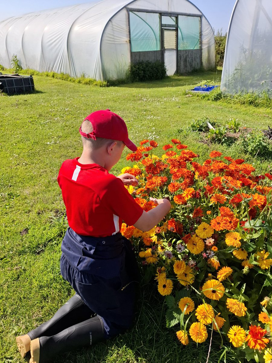 St George's CE Primary School (@stgeorgeskent) on Twitter photo Our final farm tasks of the week completed <a href="/Treginnis_FFCC/">Lower Treginnis - Farms for City Children</a> #FarmersForAWeek
We've made memories to last a lifetime ♥️ Our final farm tasks of the week completed <a href="/Treginnis_FFCC/">Lower Treginnis - Farms for City Children</a> #FarmersForAWeek
We've made memories to last a lifetime ♥️