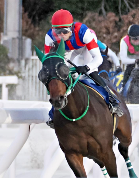 RallyBet's tweet photo. 【半夏生『明石だこ』特別】園田11R, ダ1230, 19:55

今朝時点では
③『フクノユリディズ』
⑧『サイレンスタイム』
①『ヴァトレニ』
という人気順だ。

人気トップの
『フクノユリディズ』だが、
前走のように
突如として大崩れする可能性がある。

とはいえ、
最後まで脚がもてば
間違いなく優勝候補だ。

------------------------------------------
～競馬に新風を呼び込む！～
【BEAT HORSE】耳寄り情報
------------------------------------------

《RALLY BET》では、
業界の常識を覆す
「"馬券の発行が可能" なゲーム」 = 【BEAT HORSE】
を展開中！！

ここではレース毎の
狙い目を公開していく！！

見逃し厳禁だ！！

AIでの分析結果によると
　本命：③『フクノユリディズ』
　対抗：⑧『サイレンスタイム』
　単穴：④『ベラジオソノダラブ』
のように人気順と
近い順位になっている。

BET（馬券購入）では
本命推しで文句ないだろう。

前走で崩れはしたが
次走では調子を戻すところも
この馬の特徴といえるため
大きな心配は不要か。

今回のレースでは
①のEAT（馬券発行）がオススメだ。

AIの予想時点では3番人気だが、
勝率は決して高くない。
文字通りの穴だろう。

さぁ、
下記リンクから登録して
実際のプレイで試してみよう！

〈RALLY BET公式サイト〉
https://t.co/fG6Utlb1Tx

#半夏生明石だこ特別 #ベラール #サヨノフィールド #RALLYBET #BEATHORSE
