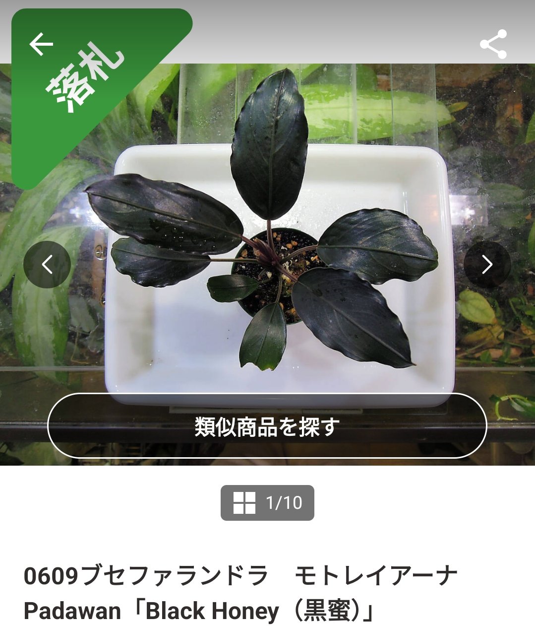 キボーデコ on X: 