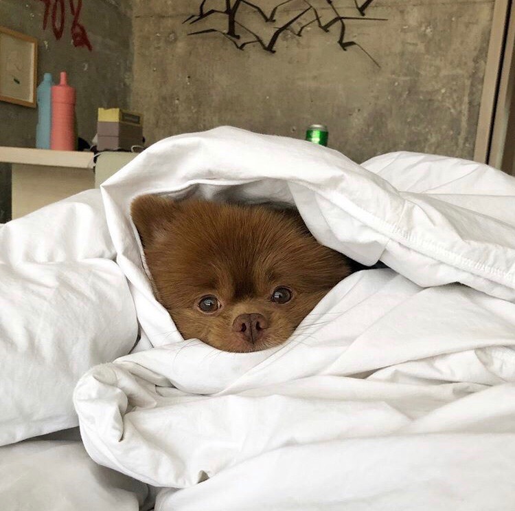 I'm not moving