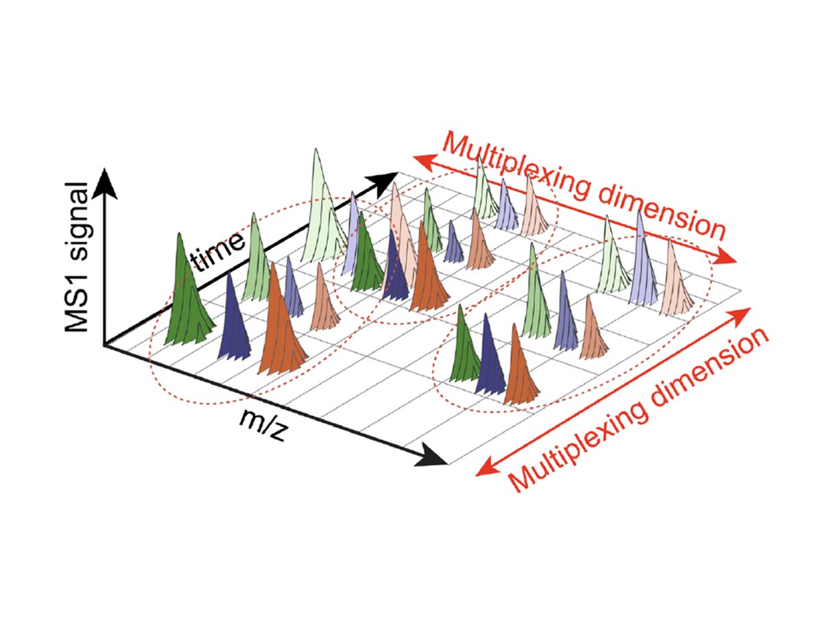 Prof. Nikolai Slavov (@slavov_n) on Twitter photo A succinct and clear presentation of multiplexing proteomic technologies that we developed at <a href="/ParallelSqTech/">Parallel Squared Technology Institute (PTI)</a>. A succinct and clear presentation of multiplexing proteomic technologies that we developed at <a href="/ParallelSqTech/">Parallel Squared Technology Institute (PTI)</a>.