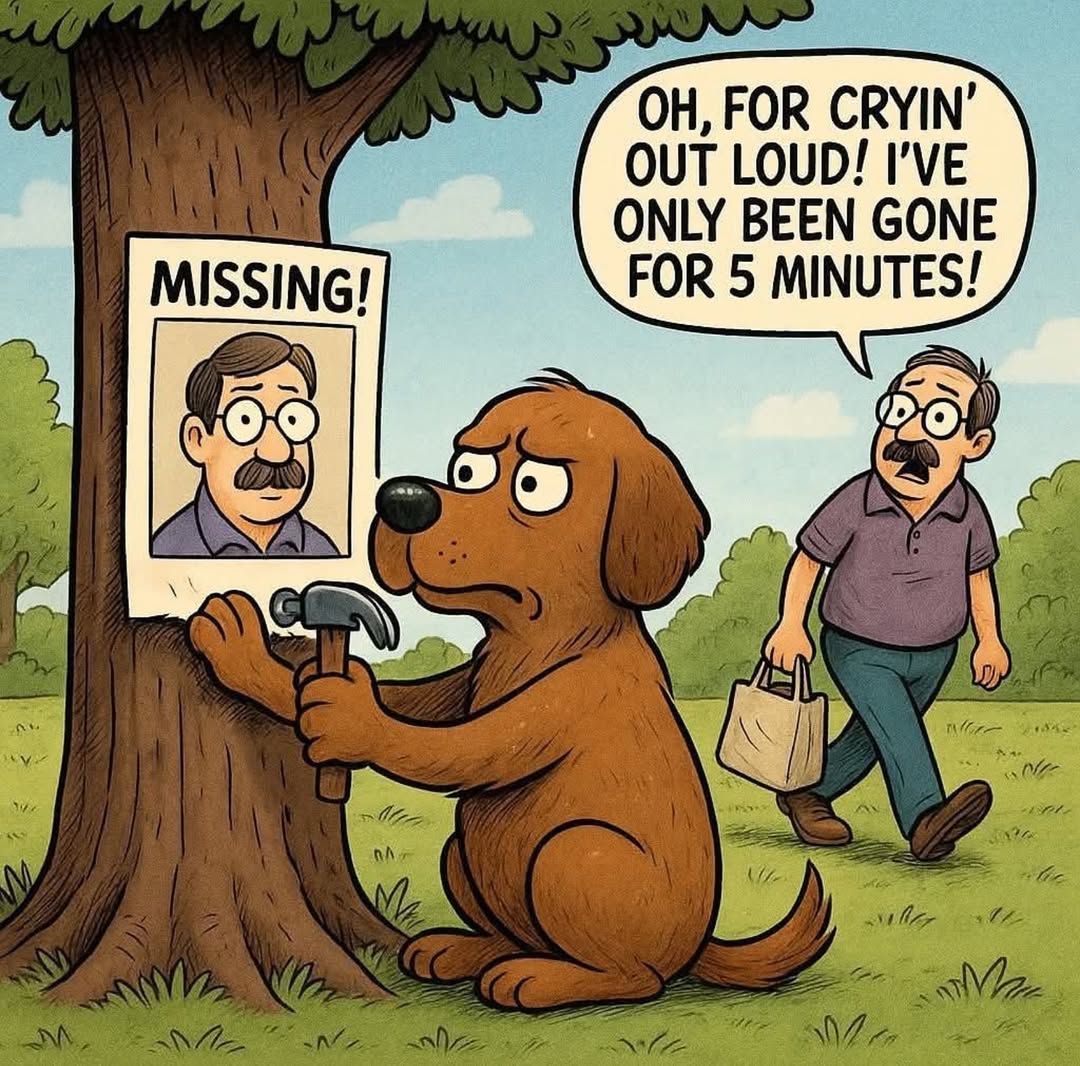 🤣🤣🤣🤣🤣🤣🤣🤣🤣🤣🤣