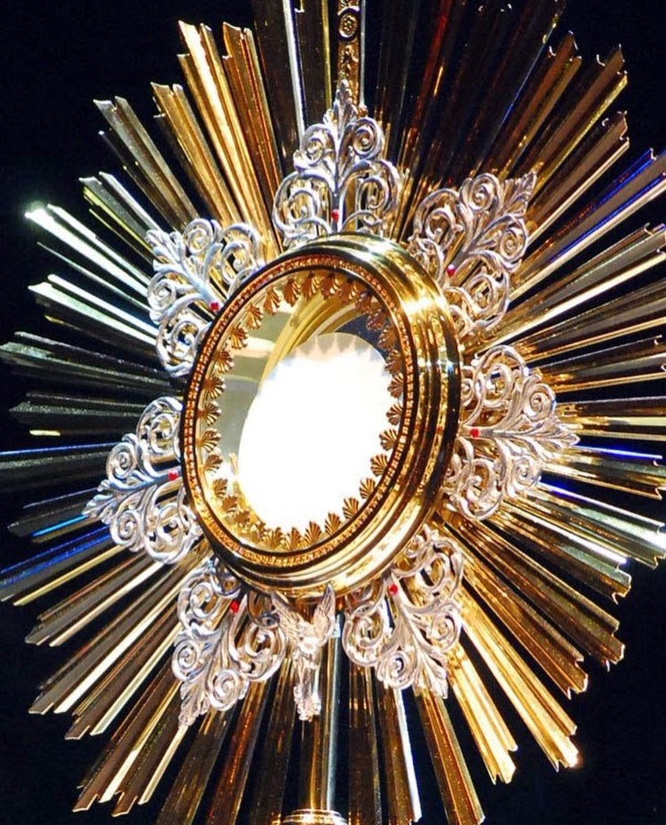 ✝️ Solemnidad del Corpus Christi

Hoy celebramos la presencia de Cristo en la Eucaristía, centro de nuestra fe y alimento de vida eterna.

 “Adorado sea el Santísimo Sacramento del Altar.”