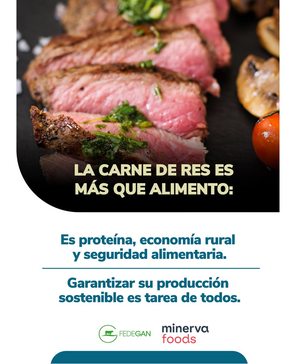 🌱🐄 Garantizar productos sostenibles y carne de res de alta calidad es un compromiso colectivo.

Desde el campo colombiano, avanzamos juntos hacia la seguridad alimentaria del país.

💪🏼 ¡Porque alimentar bien a Colombia es tarea de todos!

#OrgullosamenteGanaderos