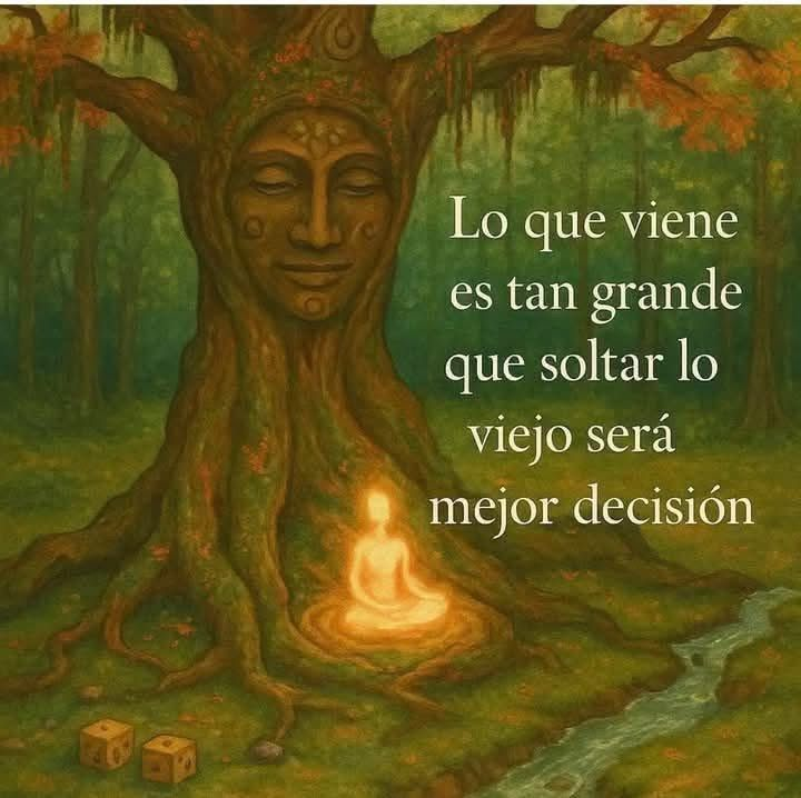 Tiger Mindset (@honordetigre) on Twitter photo 