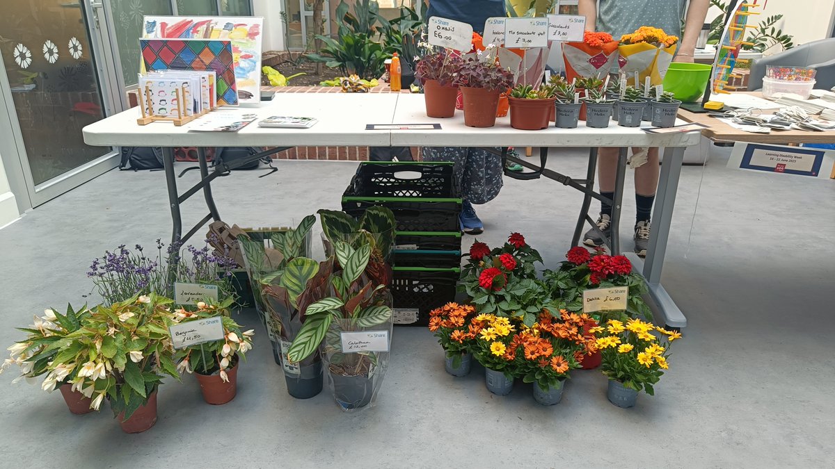 Yesterday, our Horticulture students visited Springfield University Hospital to celebrate Learning Disability Week. ✨ They set up a market stall in the Trinity building, selling plants from our garden (which they grew and nurtured themselves), along with other Share goodies. It