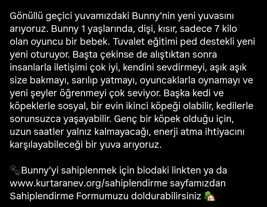 Yuva arıyor. Lütfen RT