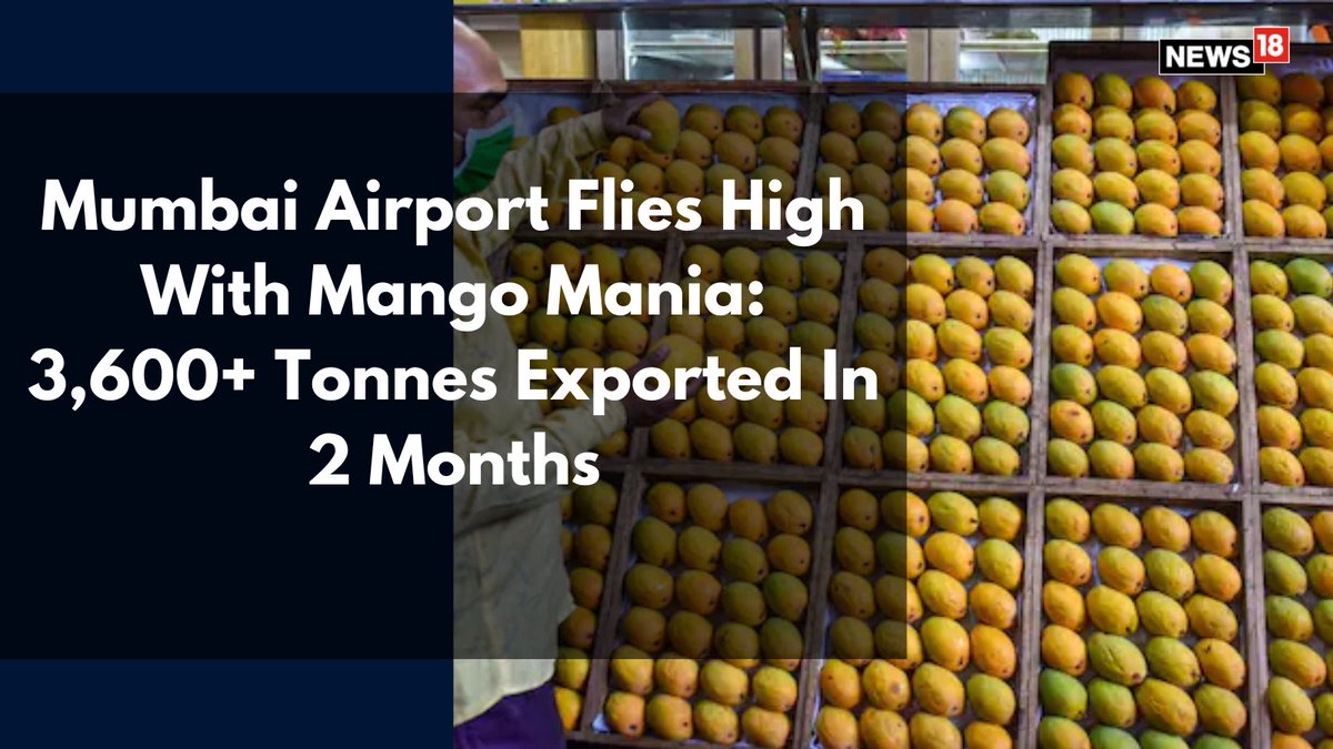 News18 (@cnnnews18) on Twitter photo Among international destinations, London, Toronto, and New York topped the list, reflecting a strong overseas appetite for Indian mangoes.
Writes: <a href="/mayuganapatye/">Mayuresh Ganapatye</a> | #Export #India #Mangoes
news18.com/cities/mumbai-… Among international destinations, London, Toronto, and New York topped the list, reflecting a strong overseas appetite for Indian mangoes.
Writes: <a href="/mayuganapatye/">Mayuresh Ganapatye</a> | #Export #India #Mangoes
news18.com/cities/mumbai-…
