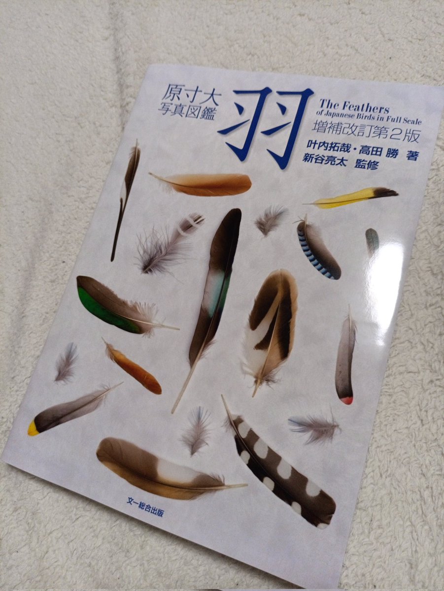 原寸大写真図鑑羽 増補改訂第2版の制作に関わることができ、羽屋冥利に尽きます。
この2版、並版と言うことでお手軽なお値段(？)になっていますので、ぜひ皆さんお手元に1冊どうぞ！