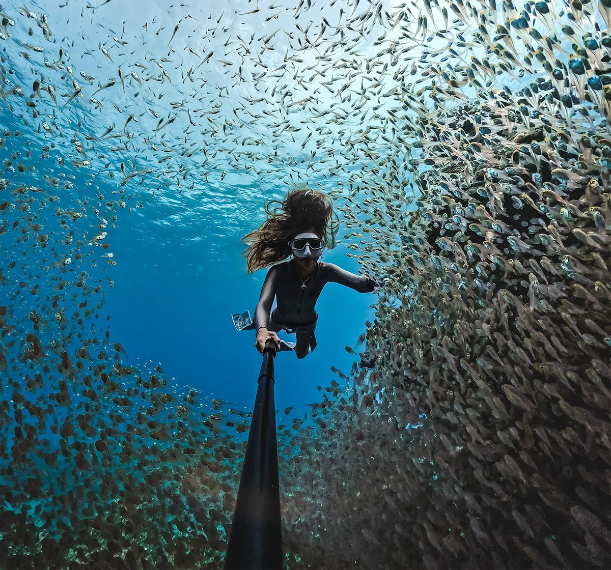 ひと息でとらえた、一面に広がる魚の群れ。
Kanakoさんが #GoProHERO13 Black で記録したのは、スカシテンジクダイとの出会い。
#GoProYourSummer に応募しよう！GoPro.com/Awards ☀️