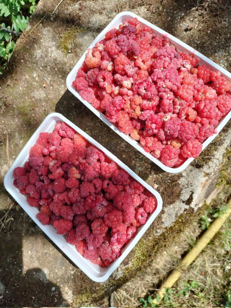 En vacances, au jardin...