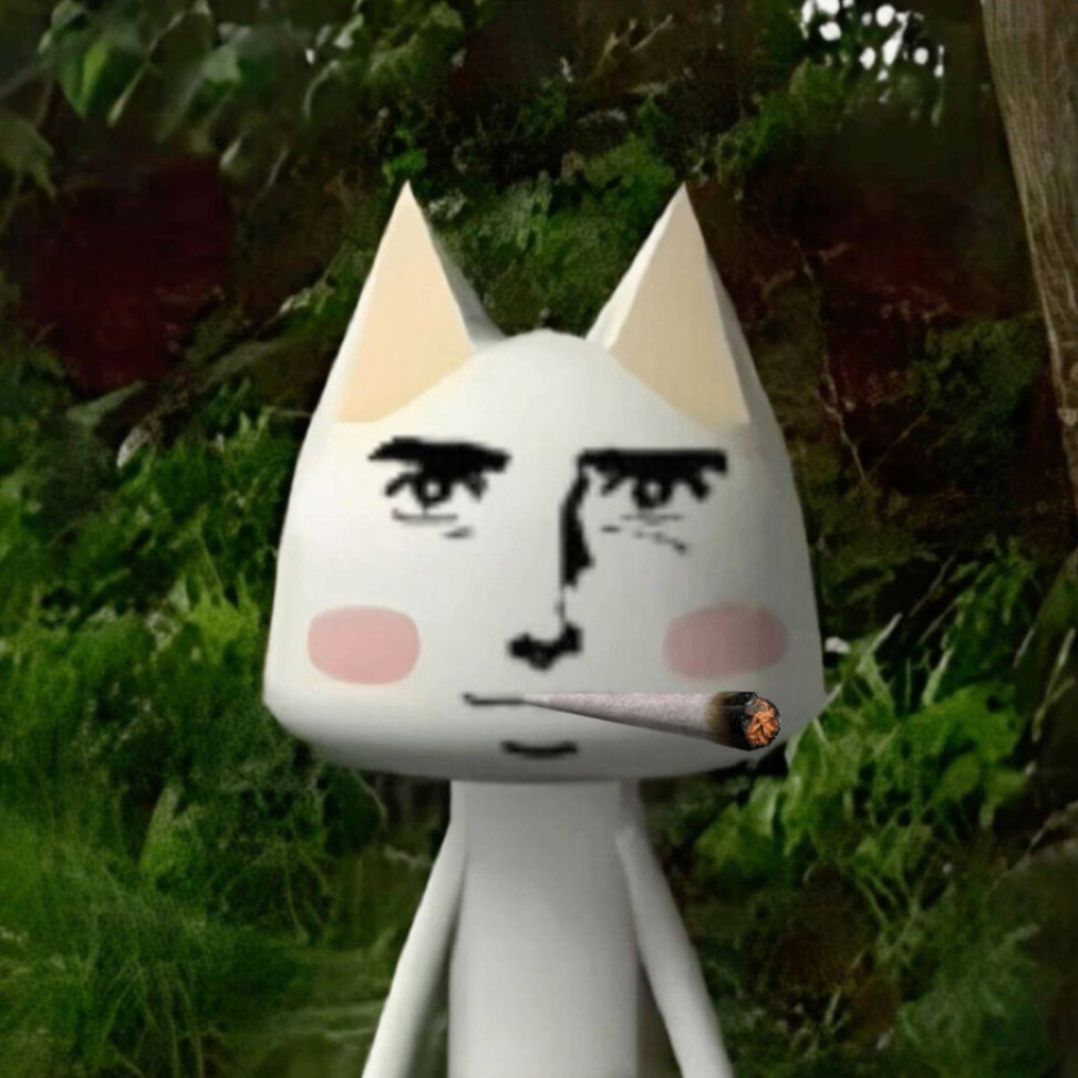 Trevel Connors tweet media