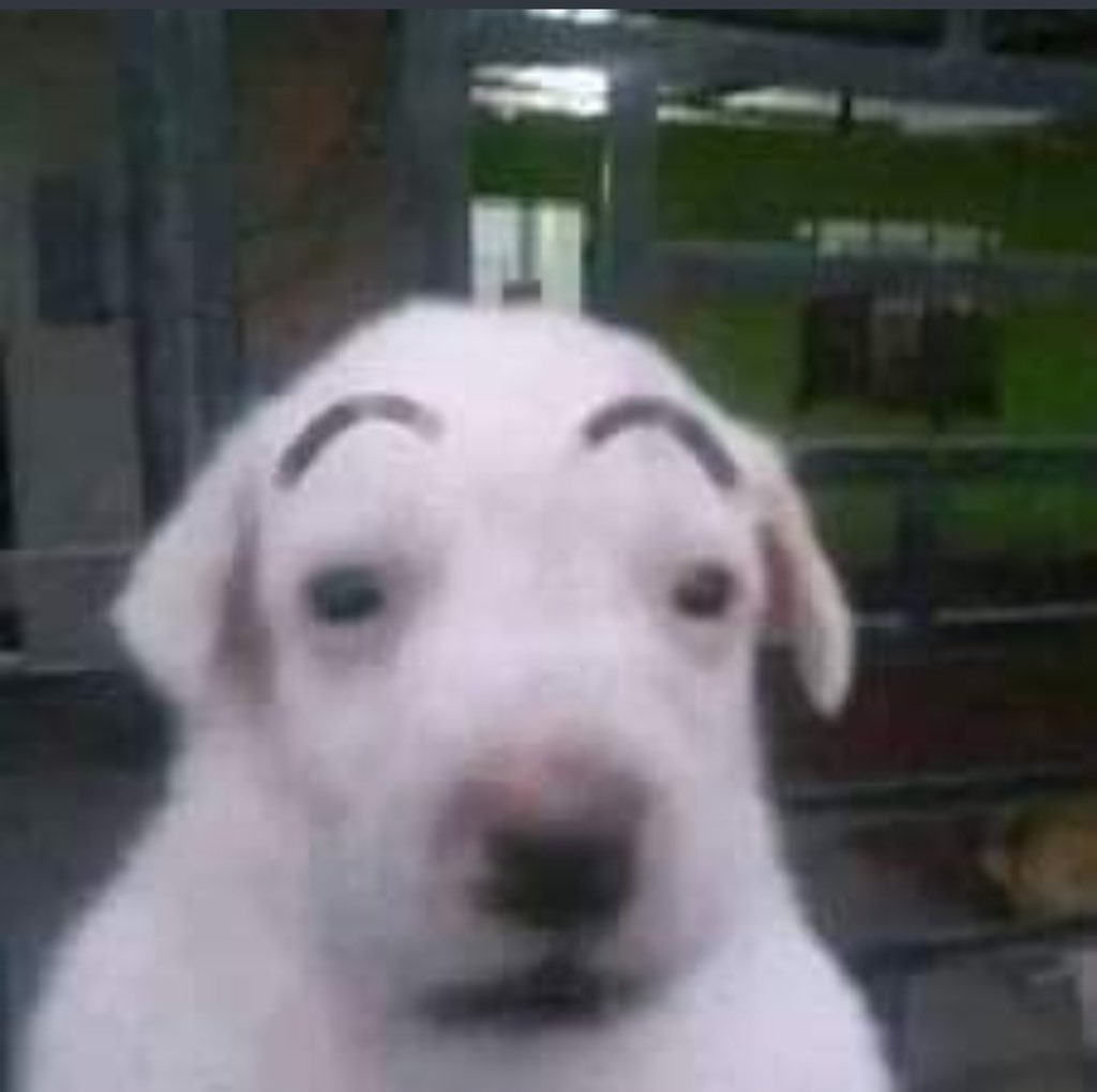 아니 낮뱅으로 온다고 해서 당연히 안올줄 알고 자러 갔는데 자고 인나니까 이네 왔다 갔음 나 세상이 무너져 내리는데요