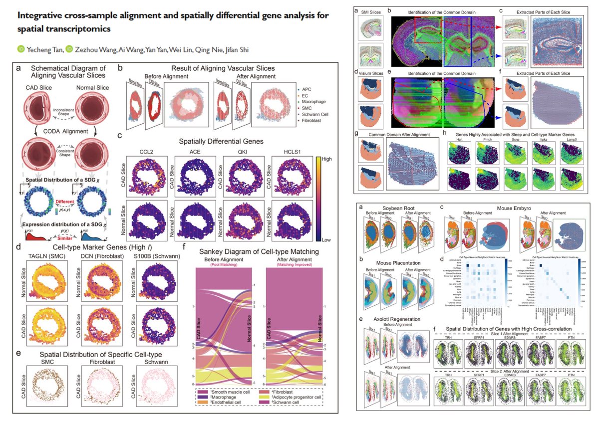 HaoYin20's tweet image. CODA
integrative CrOss-sample alignment and spatially Differential gene Analysis for #SpatialTranscriptomics
Global rigid alignment➡️
Shared coordinate grid embedding➡️
3-channel image representation➡️
LightGlue common domain identification➡️
Local nonlinear alignment
Work with…