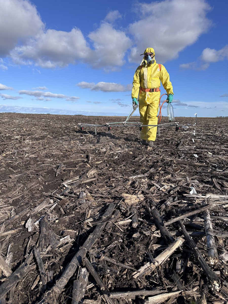 Damian Gopar tweet media