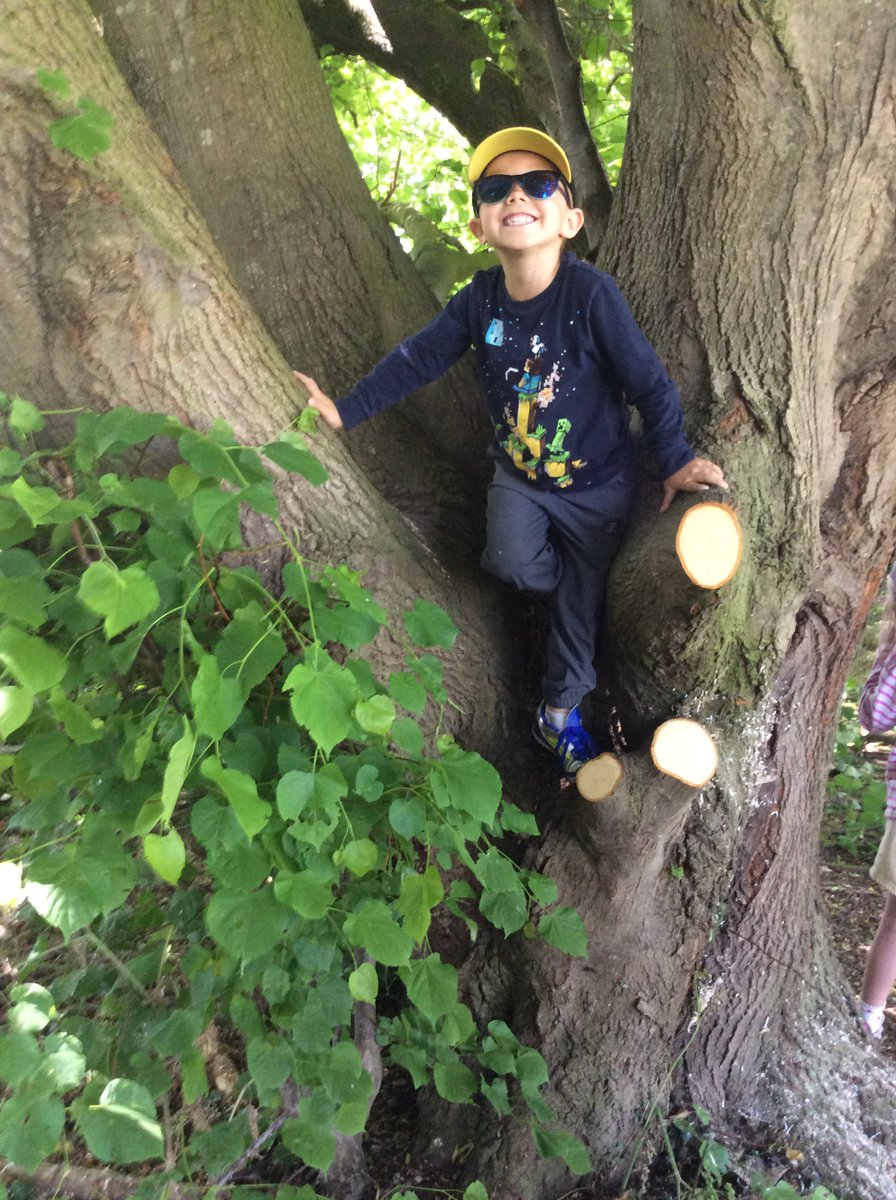 Freeman CP School tweet media