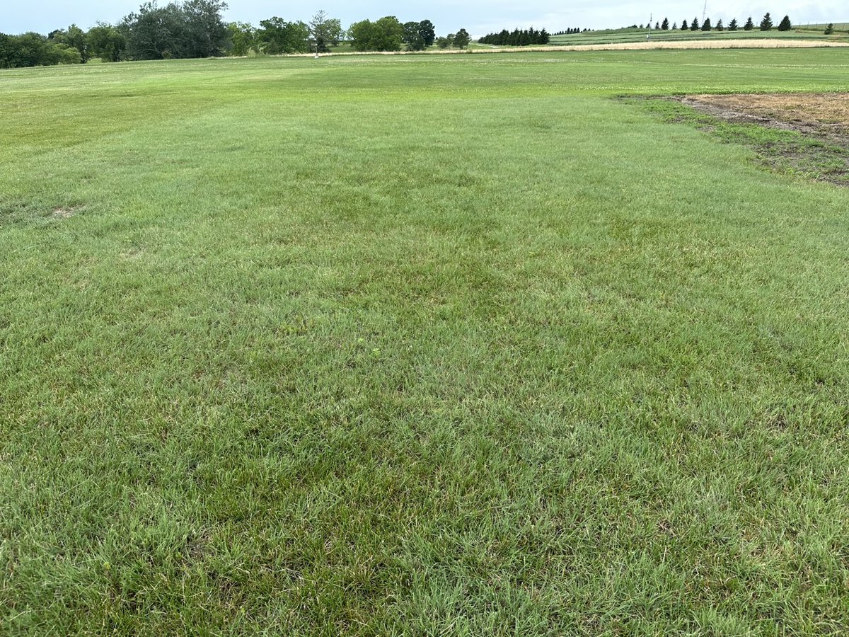 ITI had a great visit with Dr. Thoms and Dr. Law at the ISU Turfgrass Research Station this week. Looking forward to the Field &amp; Demo Day coming up in September! iowaturfgrass.org/field-demo-day