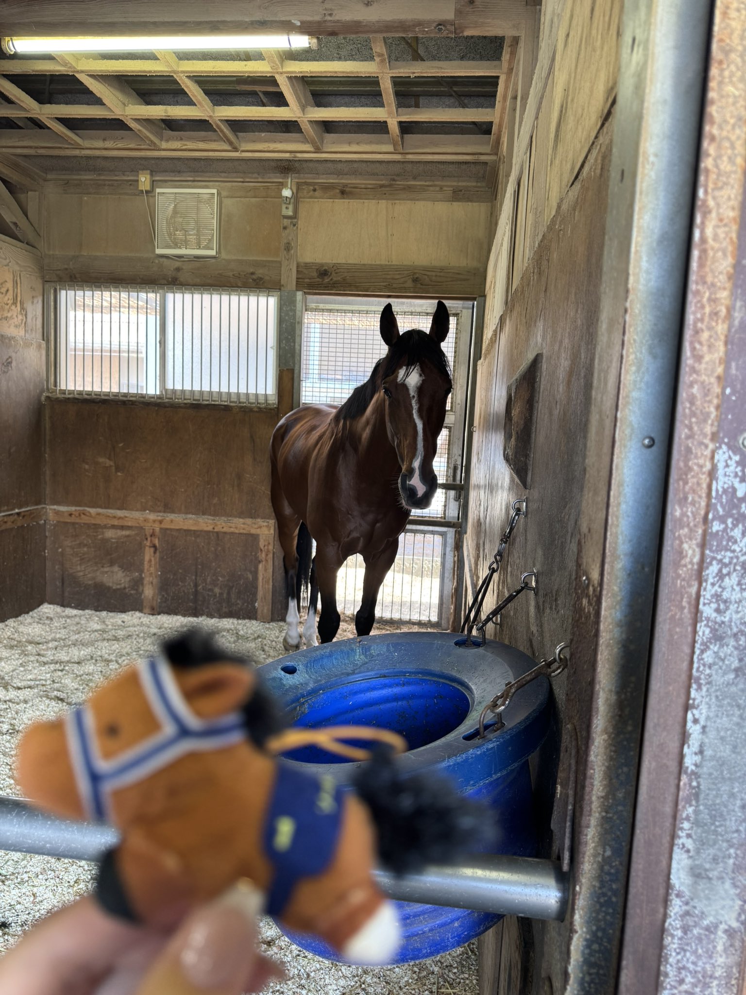 よし☆⟡.* アニメ【ぼっち・ざ・ろっく！】【美好よしみ】GRAPHIC STAR