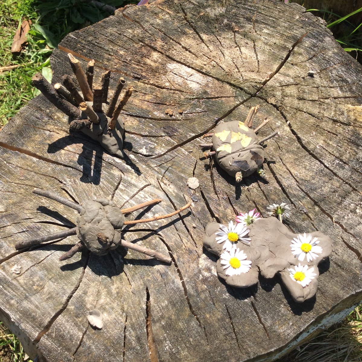 Freeman CP School tweet media