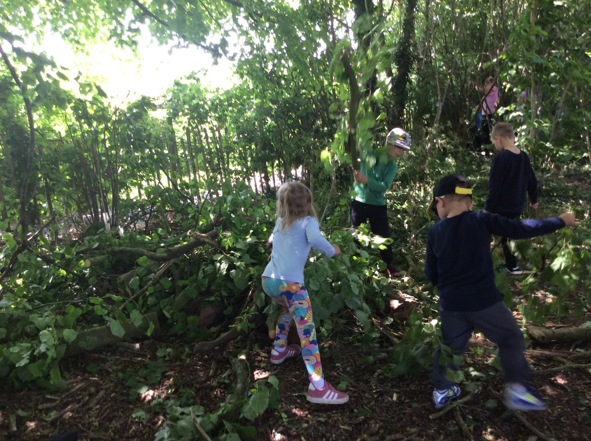 Freeman CP School tweet media