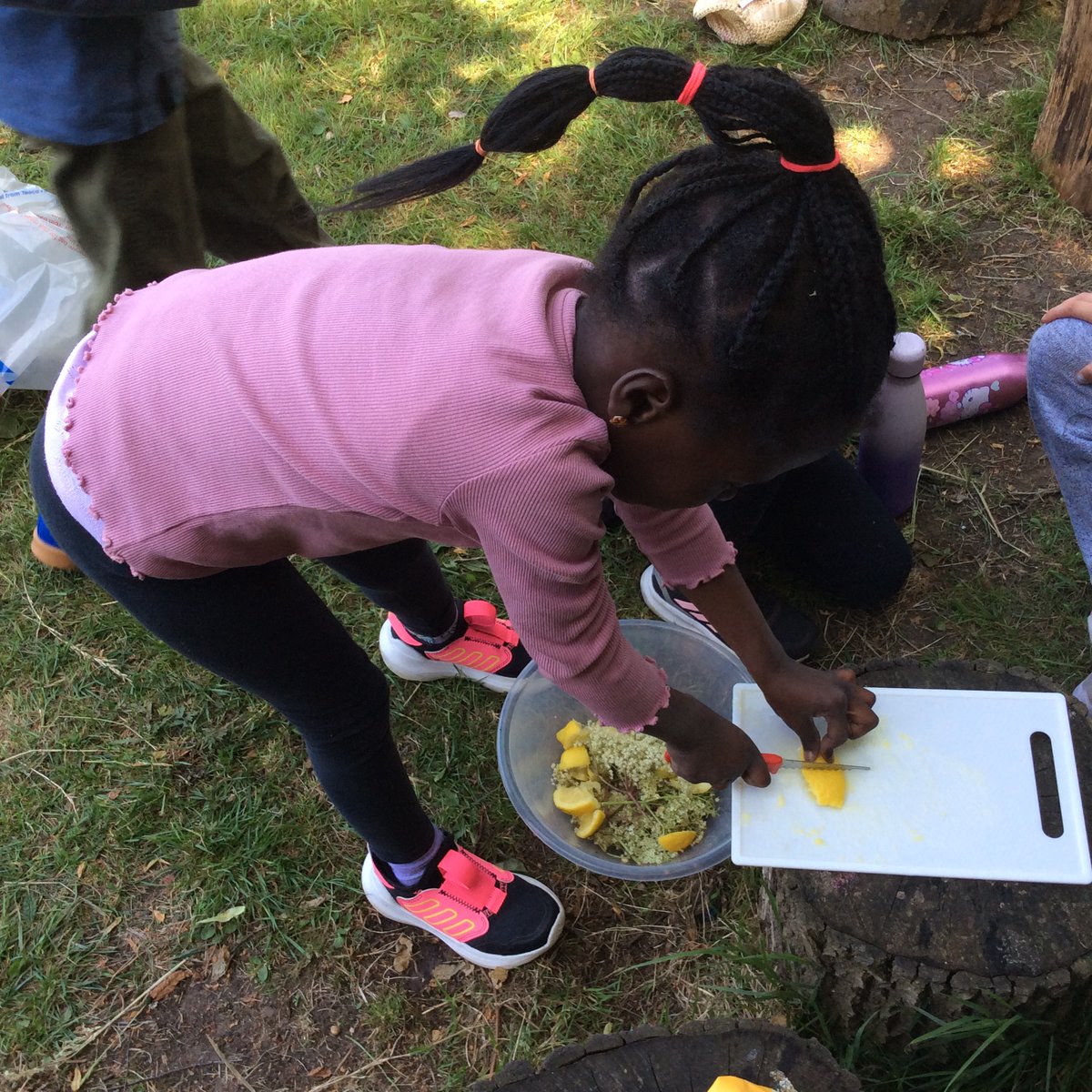 Freeman CP School tweet media