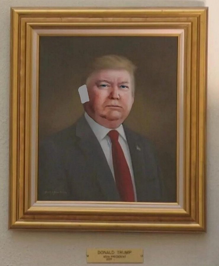 Trump took down Hillary Clinton's portrait in the White House and replaced it with one of himself.

I hope it was this one. 😅
#TrumpisaNationalDisgrace #TrumpIsUnfitForOffice #TrumpIsAnInternationalDisgrace #TrumpIsAGlobalLaughingStock