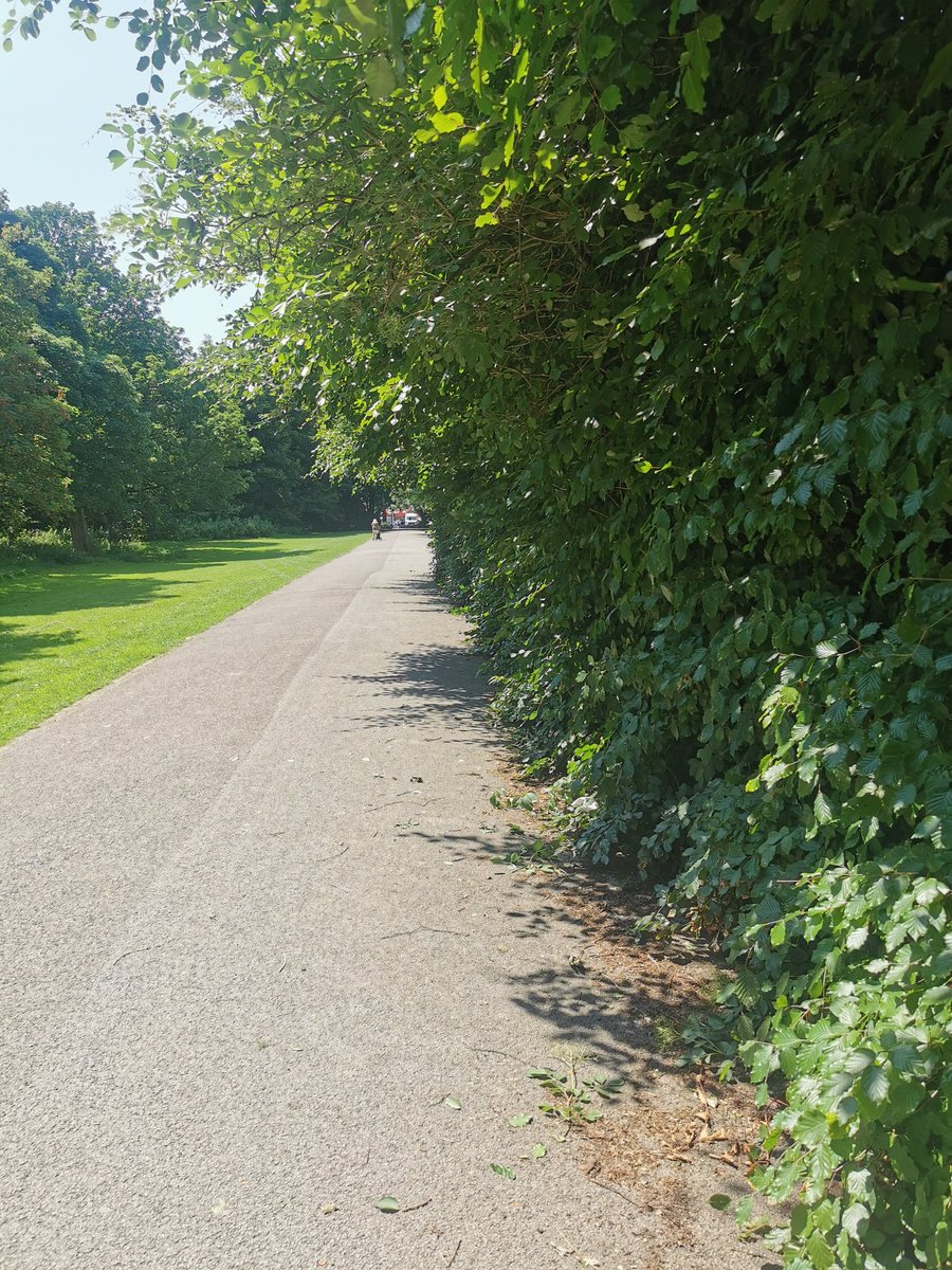 This part of the park in West Derby has been annoying me for months, the whole path is usable again now after a trim! ✂️