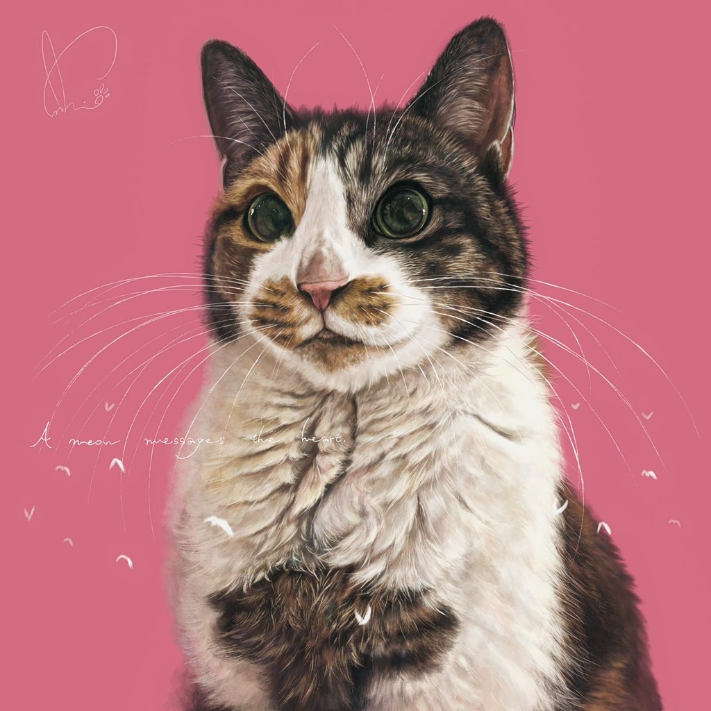 愛猫を、とのご依頼でした。🐾