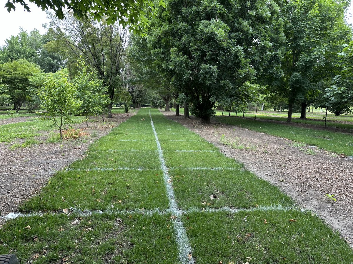 Iaturfinstitute's tweet image. ITI had a great visit with Dr. Thoms and Dr. Law at the ISU Turfgrass Research Station this week. Looking forward to the Field &amp;amp; Demo Day coming up in September! iowaturfgrass.org/field-demo-day