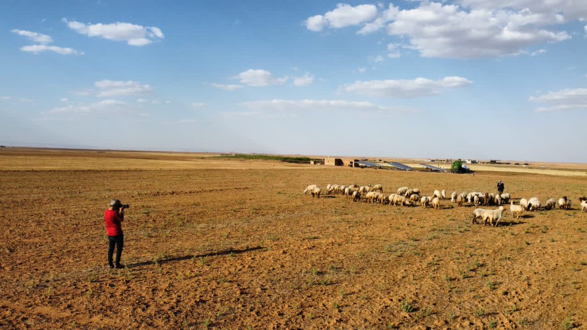 Years of conflict in #Syria have taken a significant toll on society, but this year has been particularly devastating.
The ongoing #drought has severely affected farmers due to a lack of rainfall,leading to damage to agricultural crops. 
There is insufficient support for Syria