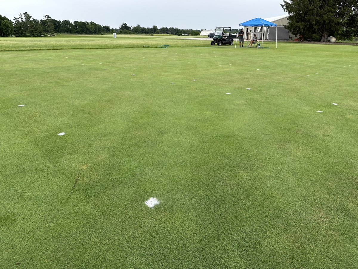 Iaturfinstitute's tweet image. ITI had a great visit with Dr. Thoms and Dr. Law at the ISU Turfgrass Research Station this week. Looking forward to the Field &amp;amp; Demo Day coming up in September! iowaturfgrass.org/field-demo-day
