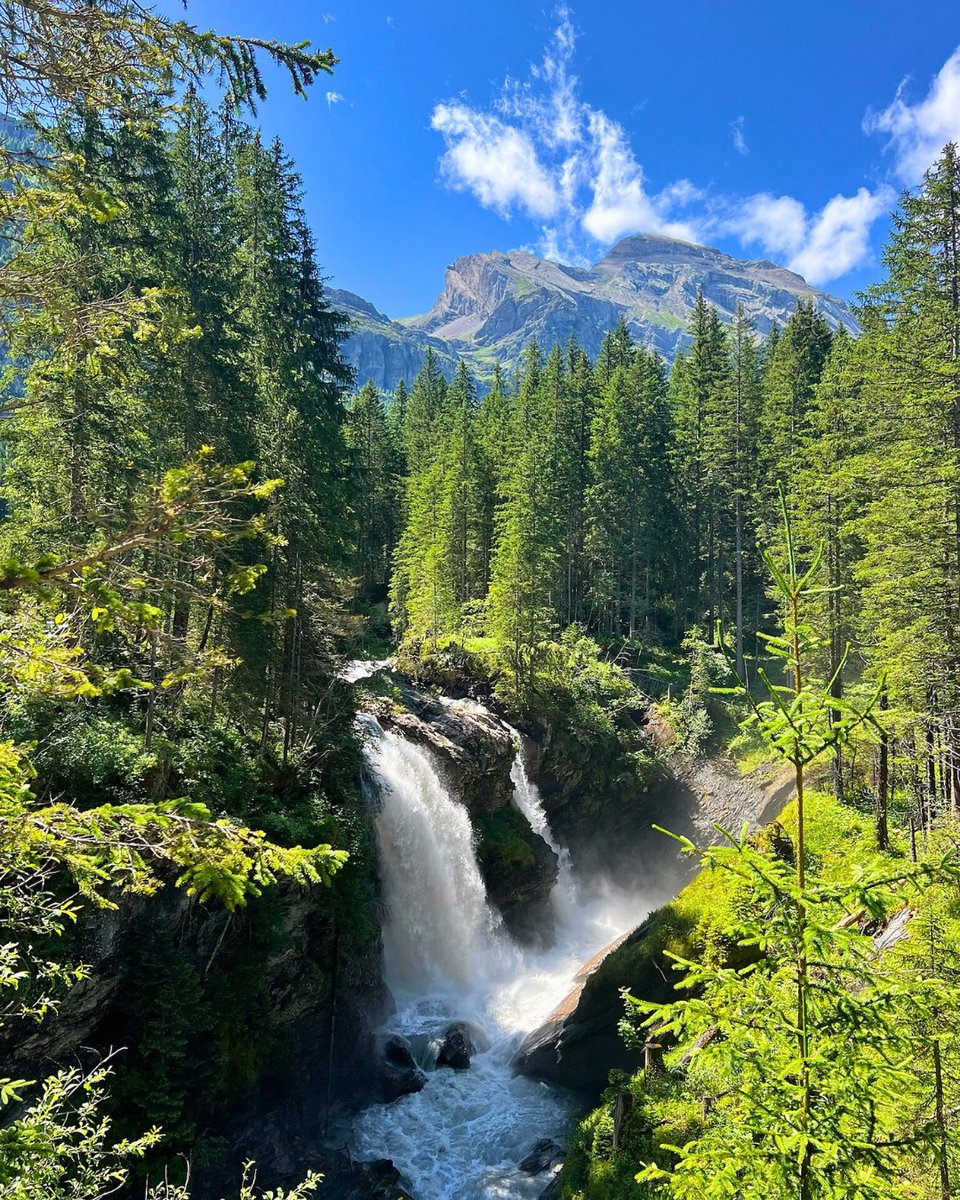 JemimaAtar's tweet image. Waterfall noise sits in a frequency range that masks sudden, sharp sounds. It's known as "pink noise", and it can help people feel safer - especially if your nervous system has learned to listen for threat. It's not just soothing - it's protective! ⁠ ⁠ #GroundedInNature